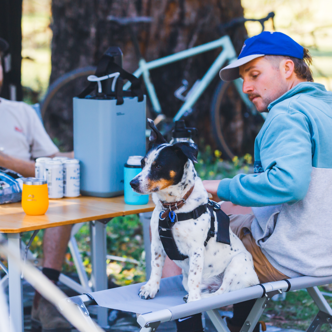 Dometic GO Compact Camp Bench