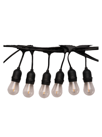 12V Outdoor Festoon Lights