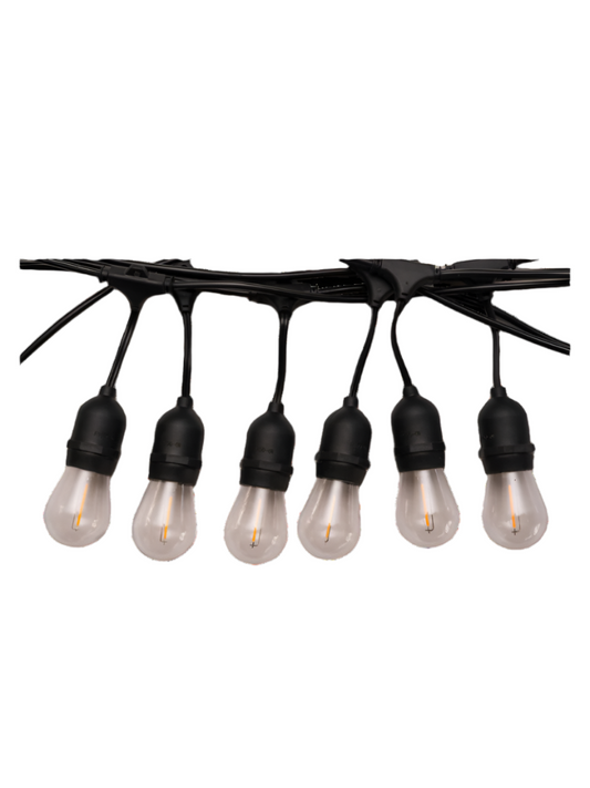 12V Outdoor Festoon Lights